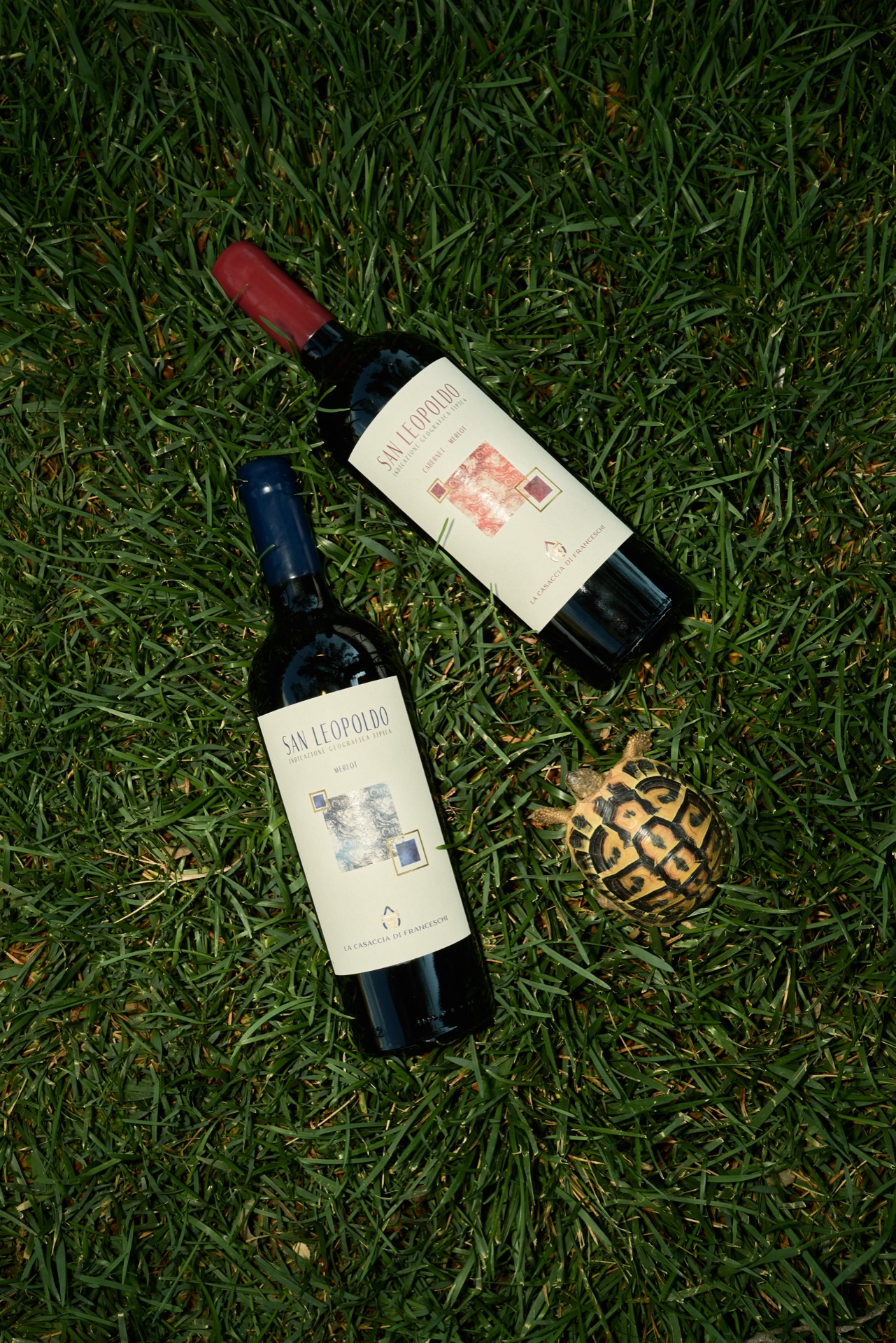 La Casaccia dettaglio